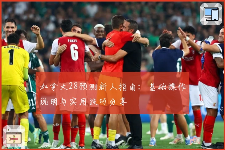 加拿大28预测新人指南：基础操作说明与实用技巧分享