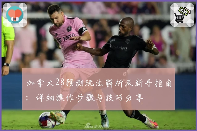 加拿大28预测玩法解析及新手指南：详细操作步骤与技巧分享