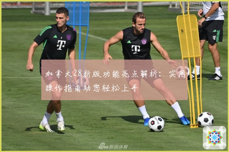 加拿大28新版功能亮点解析：实用操作指南助您轻松上手