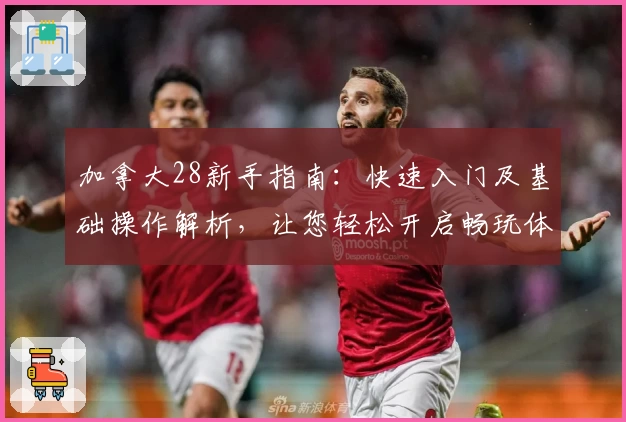 加拿大28新手指南：快速入门及基础操作解析，让您轻松开启畅玩体验