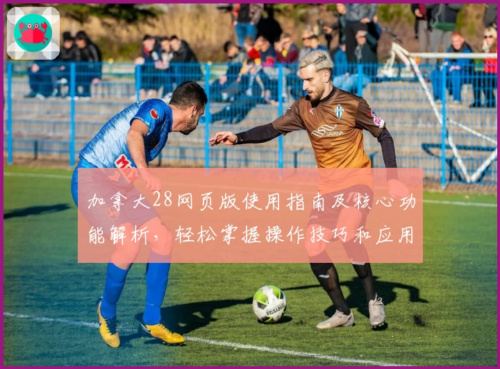 加拿大28网页版使用指南及核心功能解析，轻松掌握操作技巧和应用场景