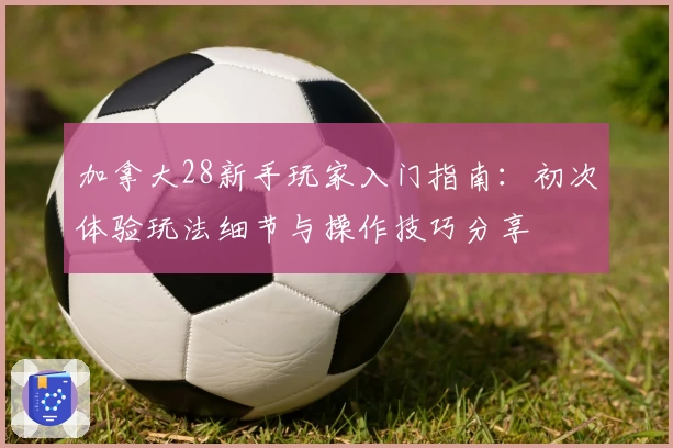 加拿大28新手玩家入门指南：初次体验玩法细节与操作技巧分享