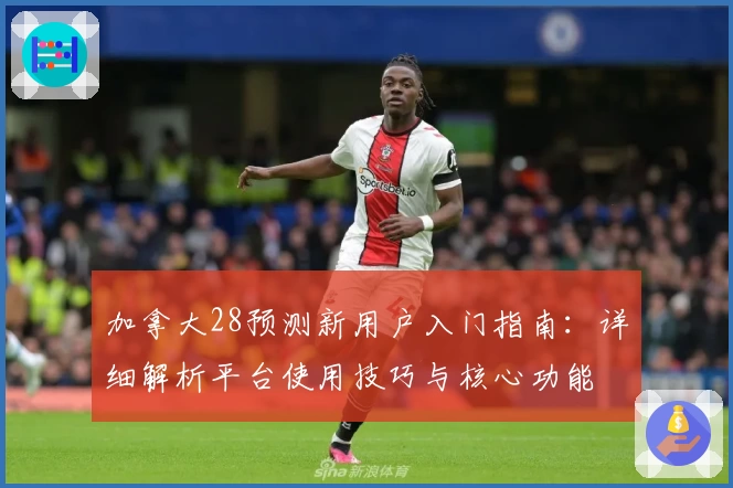 加拿大28预测新用户入门指南:详细解析平台使用技巧与核心功能