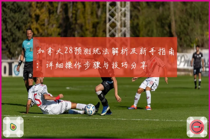 加拿大28预测玩法解析及新手指南：详细操作步骤与技巧分享