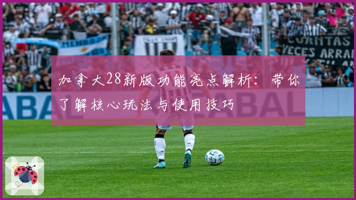 加拿大28新版功能亮点解析：带你了解核心玩法与使用技巧