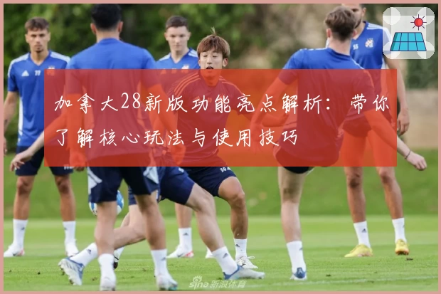 加拿大28新版功能亮点解析:带你了解核心玩法与使用技巧