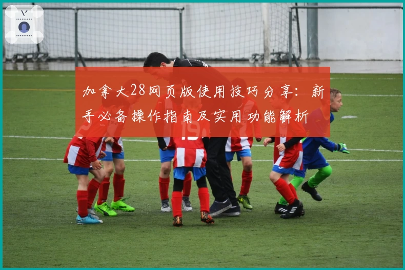 加拿大28网页版使用技巧分享:新手必备操作指南及实用功能解析